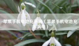 苹果手机电池充不满（苹果手机电池充不满电）