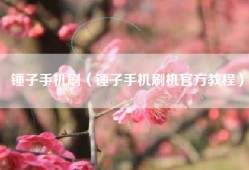 锤子手机刷（锤子手机刷机官方教程）