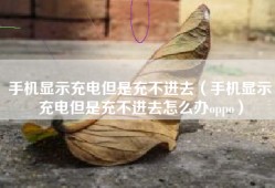 手机显示充电但是充不进去（手机显示充电但是充不进去怎么办oppo）