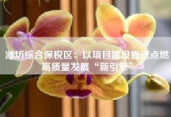 潍坊综合保税区：以项目建设提速点燃高质量发展“新引擎”