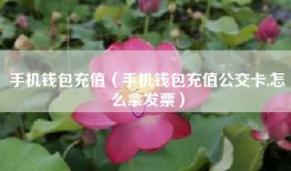 手机钱包充值（手机钱包充值公交卡,怎么拿发票）