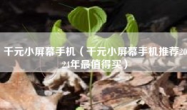 千元小屏幕手机（千元小屏幕手机推荐2024年最值得买）