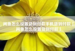 闲鱼怎么设置货到付款手机货到付款「闲鱼怎么设置货到付款」