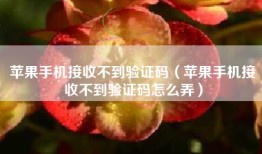 苹果手机接收不到验证码（苹果手机接收不到验证码怎么弄）