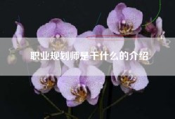 职业规划师是干什么的介绍
