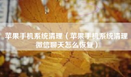 苹果手机系统清理（苹果手机系统清理微信聊天怎么恢复）