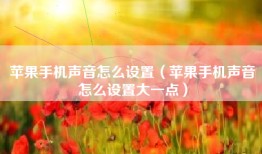 苹果手机声音怎么设置（苹果手机声音怎么设置大一点）