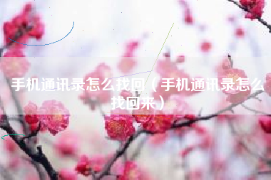 手机通讯录怎么找回（手机通讯录怎么找回来）