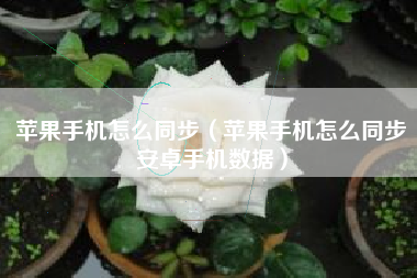 苹果手机怎么同步（苹果手机怎么同步安卓手机数据）