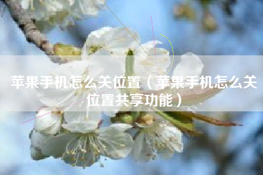 苹果手机怎么关位置（苹果手机怎么关位置共享功能）