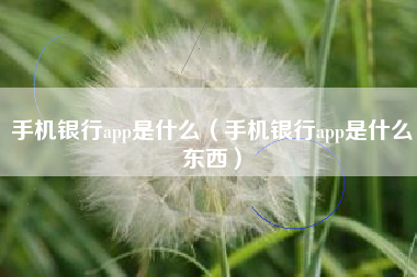 手机银行app是什么（手机银行app是什么东西）