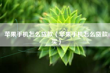 苹果手机怎么贷款（苹果手机怎么贷款买）