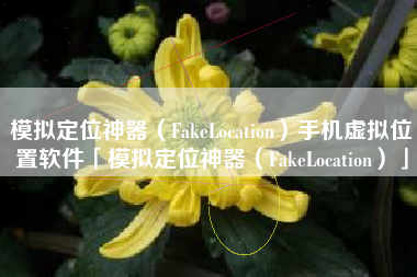 模拟定位神器（FakeLocation）手机虚拟位置软件「模拟定位神器（FakeLocation）」