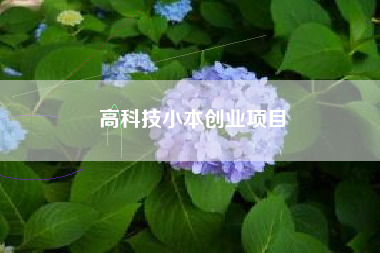 高科技小本创业项目